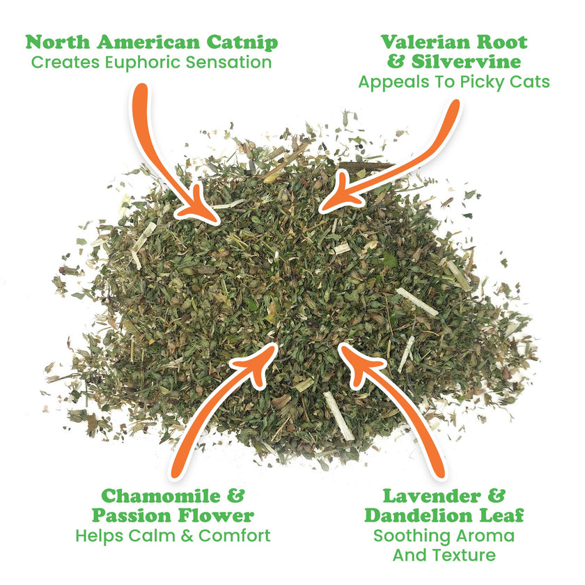 Catnip Pawty Mix