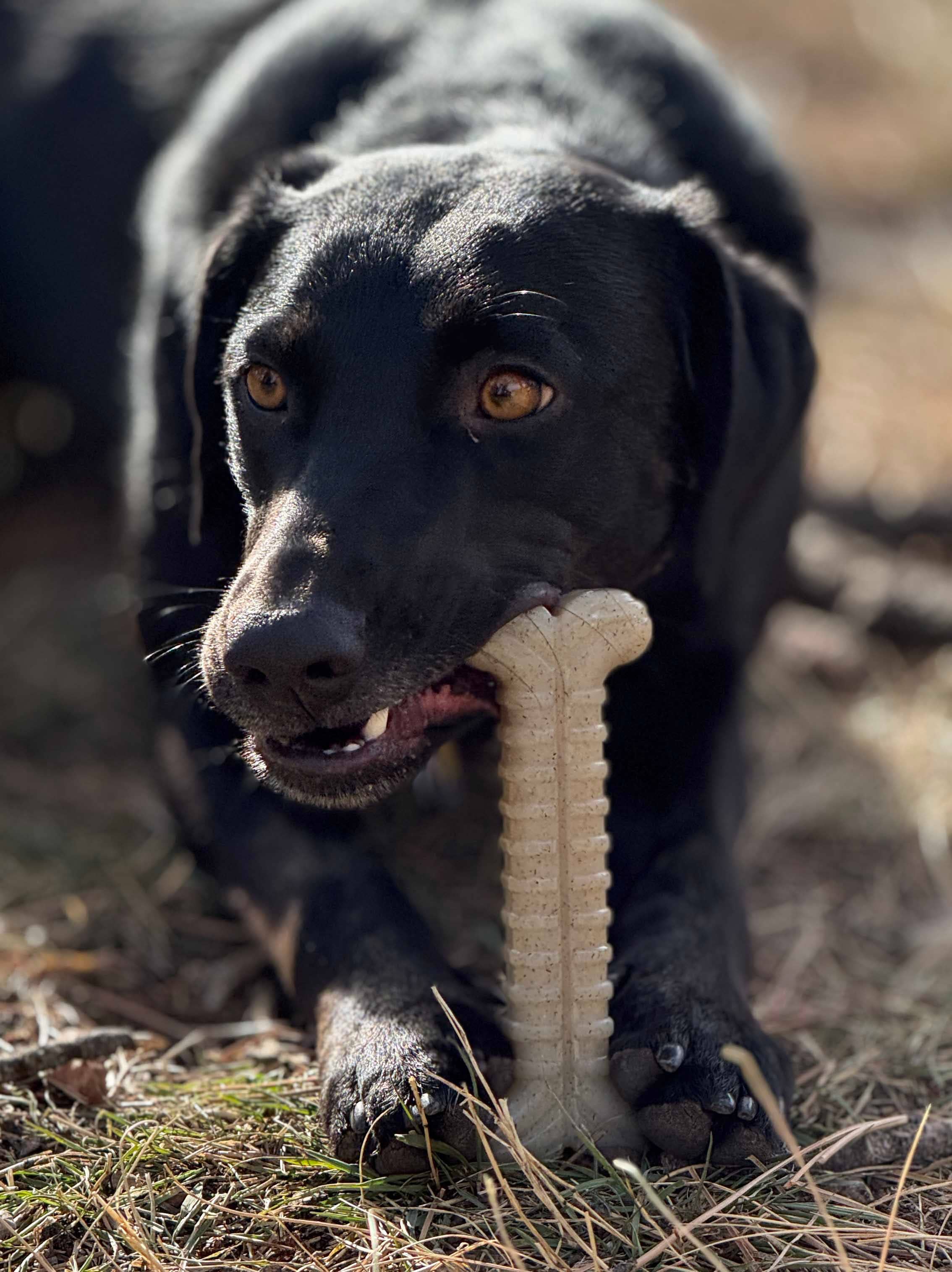 Tough Bone Nylon Chew Bone | Ultra-Durable Dog Toy for Aggressive Chewers | SodaPup