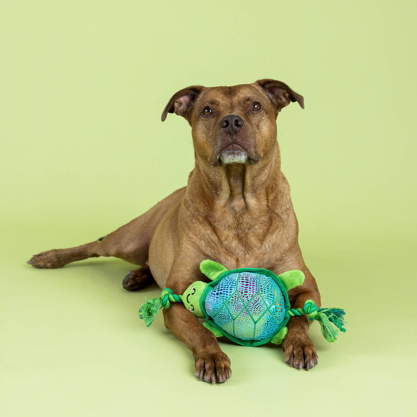 Dog Toy Turtle Shello There Plush Rope Toy