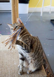Cat Toy Cuttlefish Wand Attachment Replacement