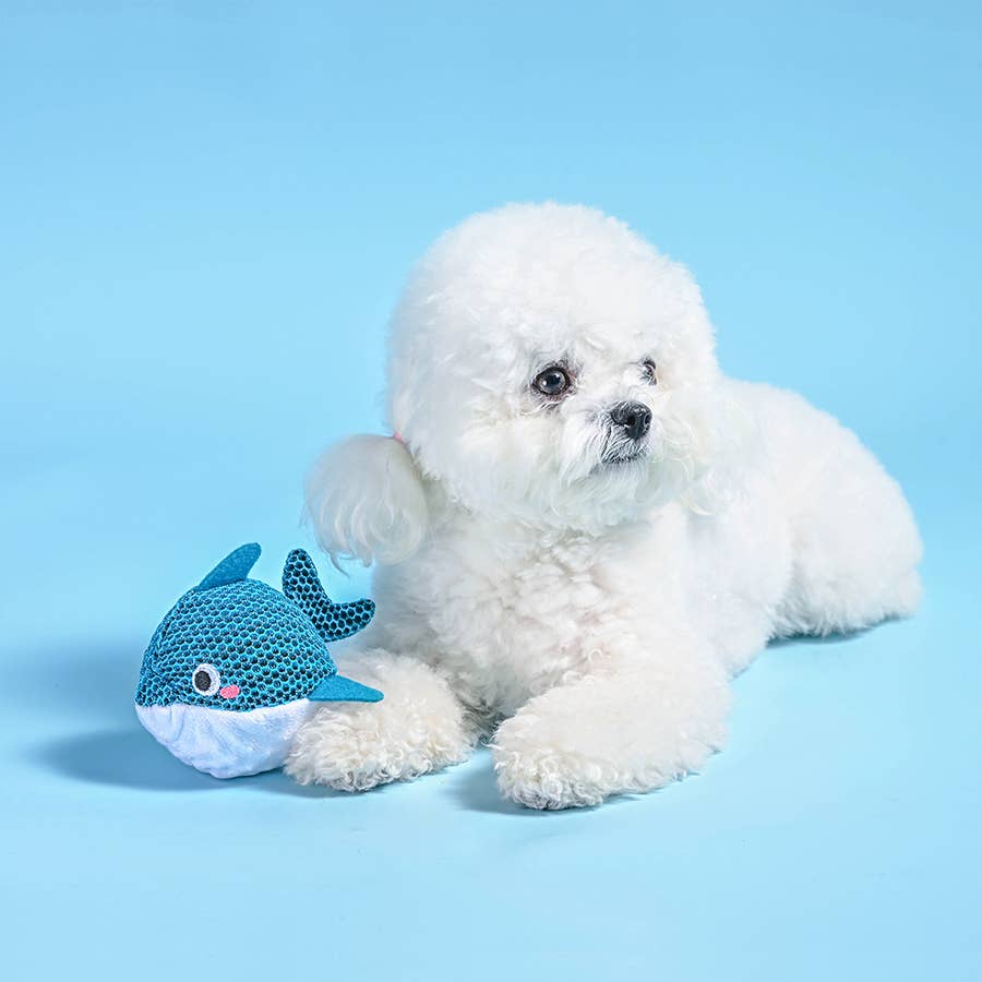 Dog Toy Dolphin Floating Dog Ball Water Toy