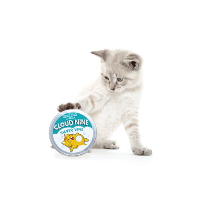 Cloud Nine Silver Vine Catnip Cat Treat Regular 15 gm