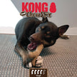 KONG® ChewStix Tough Femur Dog Chew Toy Medium
