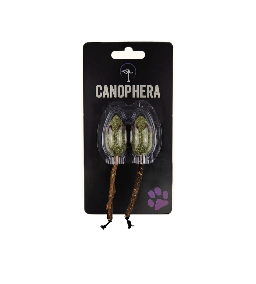 Cat Toy Silvervine Mice Catnip Set