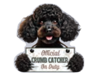 Poodle Black Chip Clip