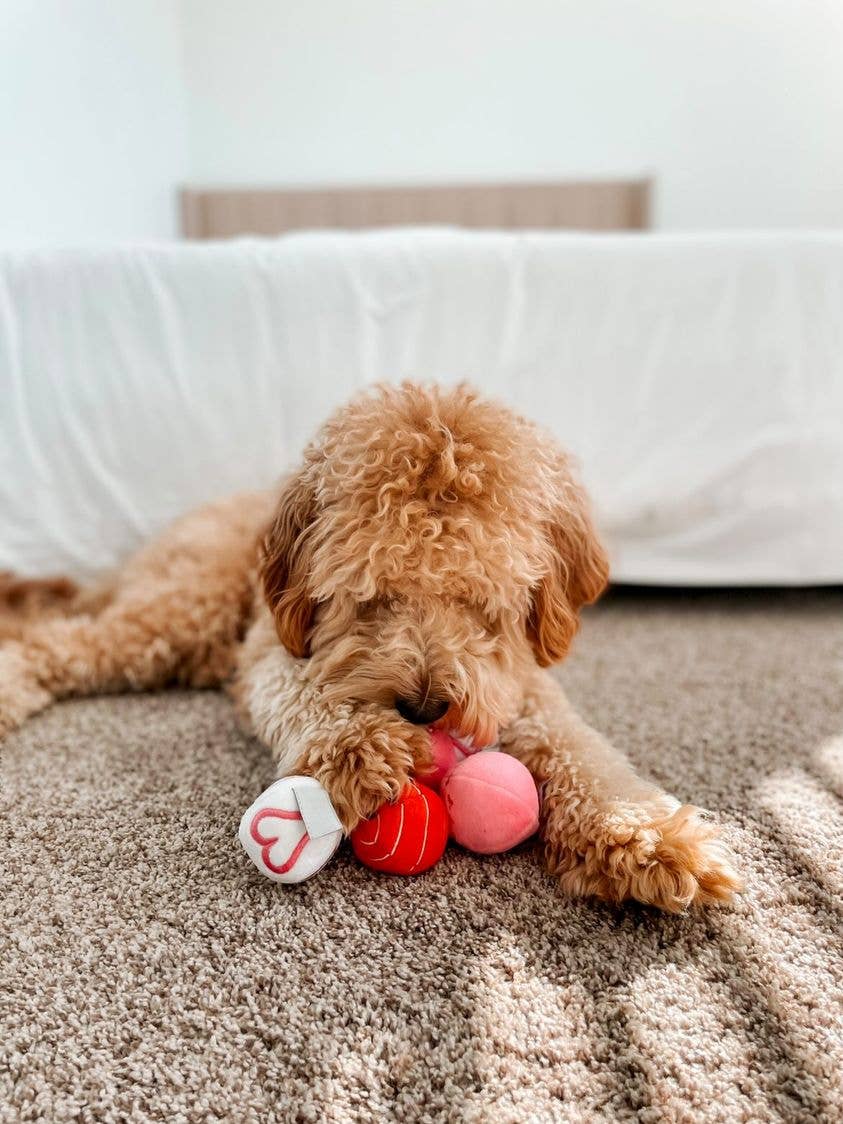 Valentine Plush Ball Dog Toy Single Assorted