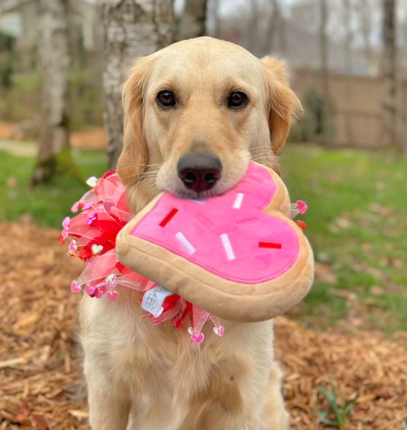 Valentine's Pink Heart Sugar Cookie Dog Toy