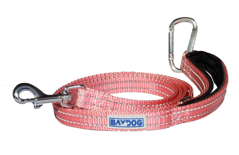 Dog Lead Pensacola Bay Dog Leash