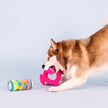 Dog Toy Flamingo 2pc Pool Days, Sun Rays Plush Set