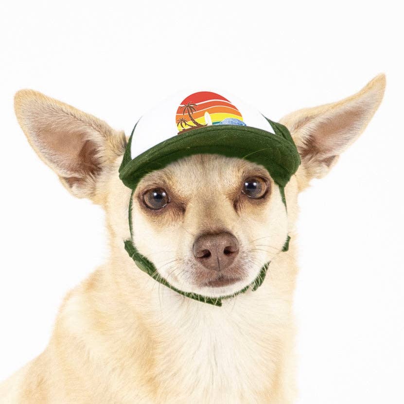 Trucker Hat for Dogs/Cats: Island Sunset Red / M