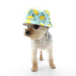 Bucket Pet Hat Lemon Blue