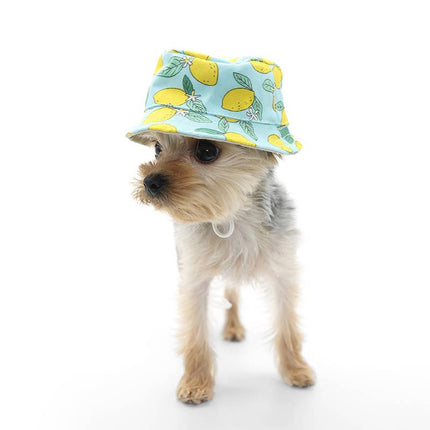 Bucket Pet Hat Lemon Blue