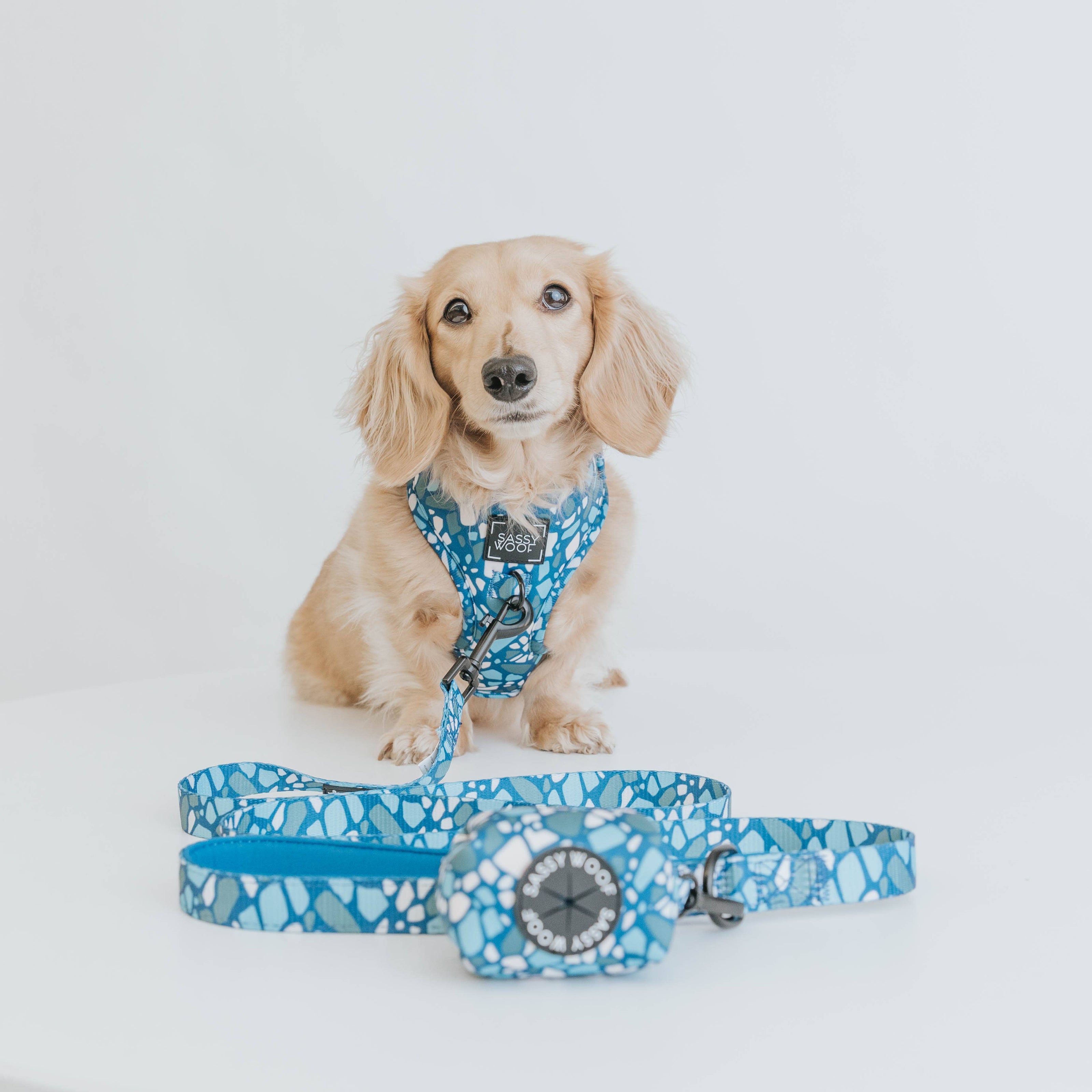 Dog Waste Bag Holder Blue Santorini With Clasp