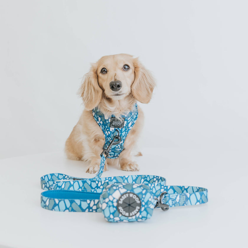 Dog Waste Bag Holder Blue Santorini With Clasp