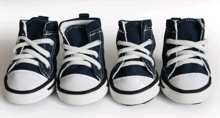 Stylish Denim Canvas Dog Shoes: Trendy, Waterproof, and Non-Slip