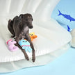Dog Toy Ocean Pals Seahorse, Jellyfish and Starfish Aqua Friends Rope Toy Set
