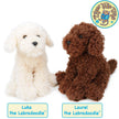 Plush Labradoodle Chocolate Laurel The Labradoodle Stuffed Animal Plush