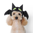 Bat Dog or Cat Costume Hat