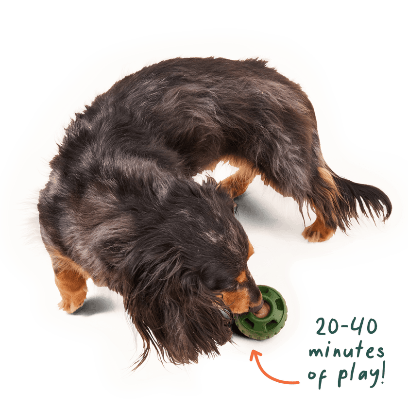 Pupsicle Pops