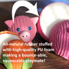Hamlet Pig Ruff-Tex® Ball Dog Toy
