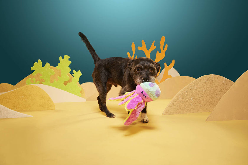 Dog Toy Jellyfish BARK Jellysquish Plush Dog Toy