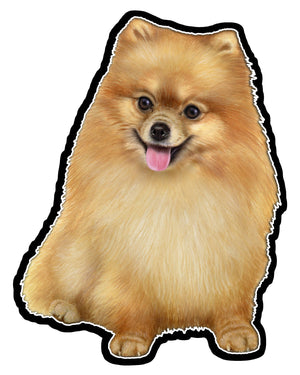 Pomeranian  - Vinyl Sticker