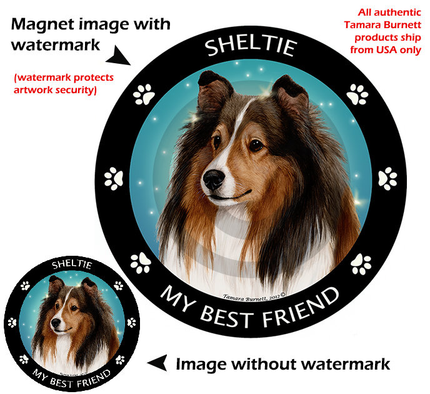 Shetland Sheepdog (sheltie) Sable My Best Freind Magnet