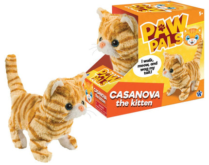Westminster Casanova The Walking Kitten
