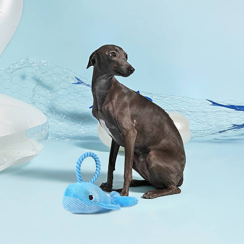 Dog Toy Whale Ocean Pals Plush Dog Rope Toy