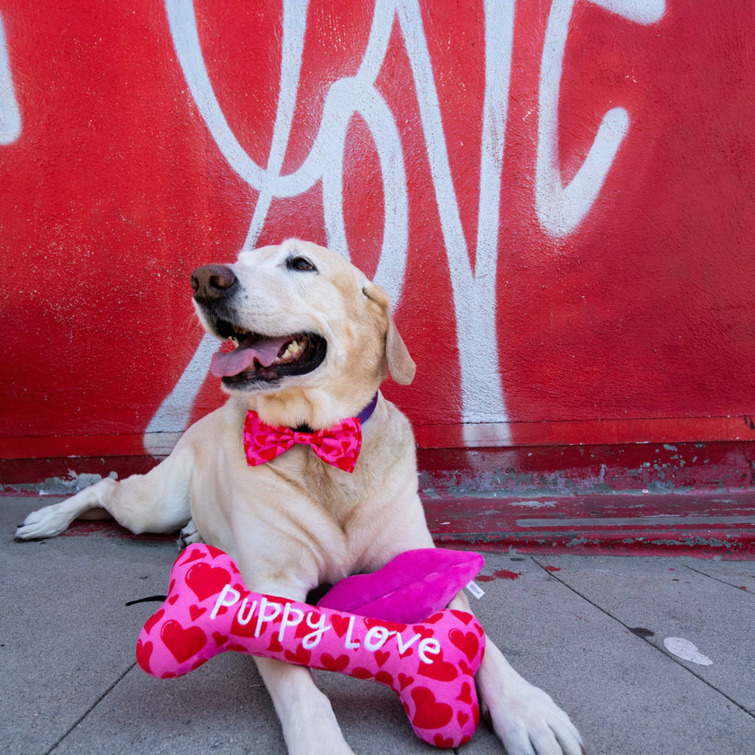 H&K Bow Tie My Puppy Love
