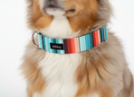 Sedona Dog Collar