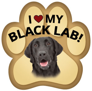 Show off your love for your favorite furry friend with our Black Labrador Retriever Paw Magnet! Perfect for your car trunk or any magnetic surface, this adorable paw-shaped magnet features a vibrant image of your favorite dog or cat breed. Made from durable, weather-resistant materials, it’s designed to withstand the elements while adding a touch of personality to your vehicle or home. 