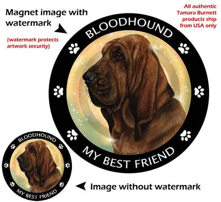 Bloodhound My Best Friend Circular Magnet