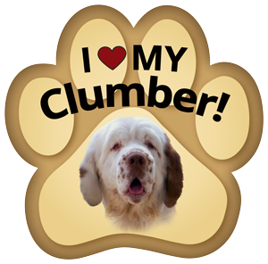 Show off your love for your favorite furry friend with our Clumber Spaniel Paw Magnet! Perfect for your car trunk or any magnetic surface, this adorable paw-shaped magnet features a vibrant image of your favorite dog or cat breed. Made from durable, weather-resistant materials, it’s designed to withstand the elements while adding a touch of personality to your vehicle or home