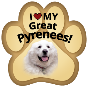 Show off your love for your favorite furry friend with our Great Pyrenees Paw Magnet! Perfect for your car trunk or any magnetic surface, this adorable paw-shaped magnet features a vibrant image of your favorite dog or cat breed. Made from durable, weather-resistant materials, it’s designed to withstand the elements while adding a touch of personality to your vehicle or home. 