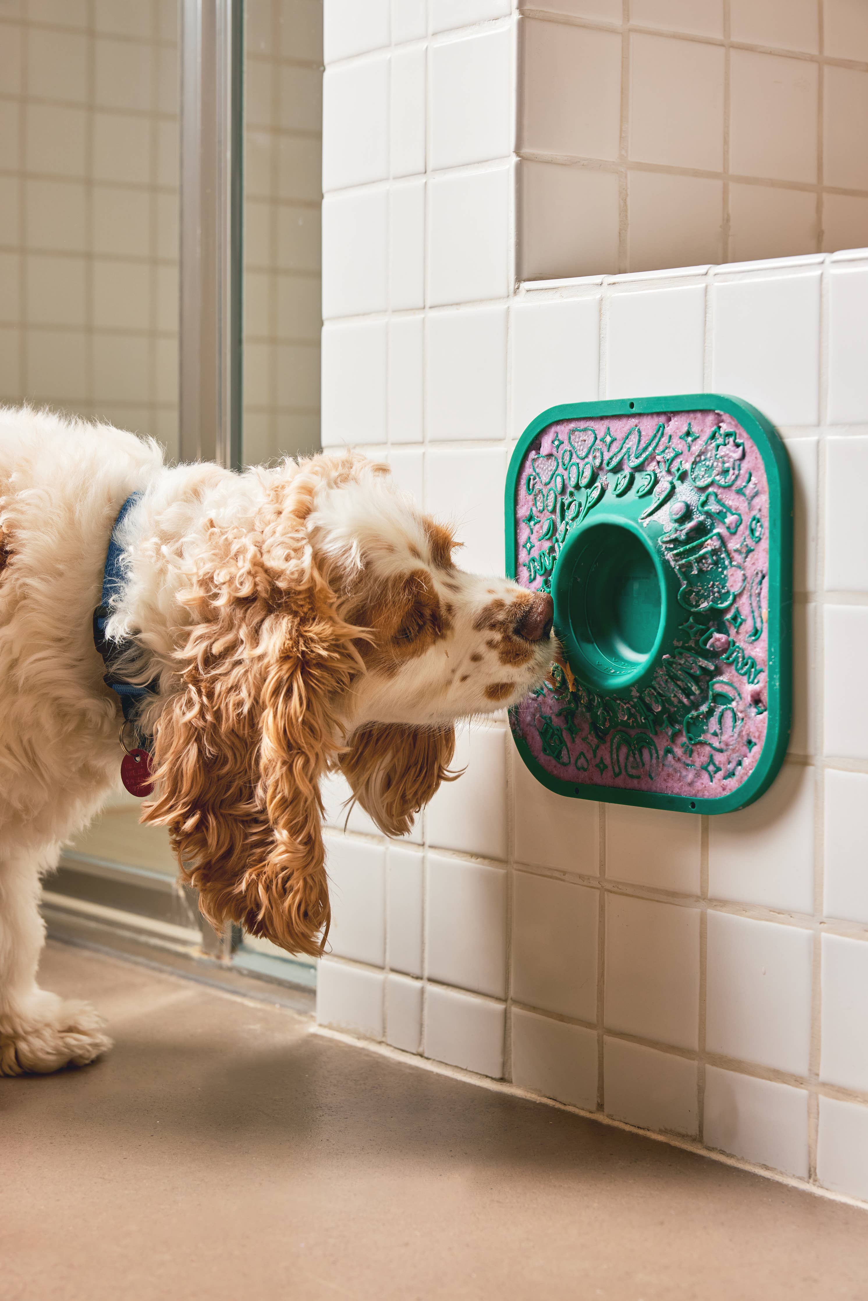 LickMat Dog Toy