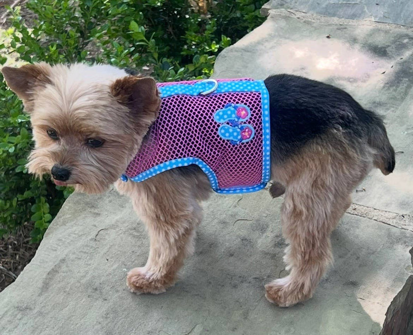 Cool Mesh Dog Harness - Pink & Blue Flip Flop