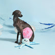 Dog Toy Squid Ocean Pals Plush  Toy