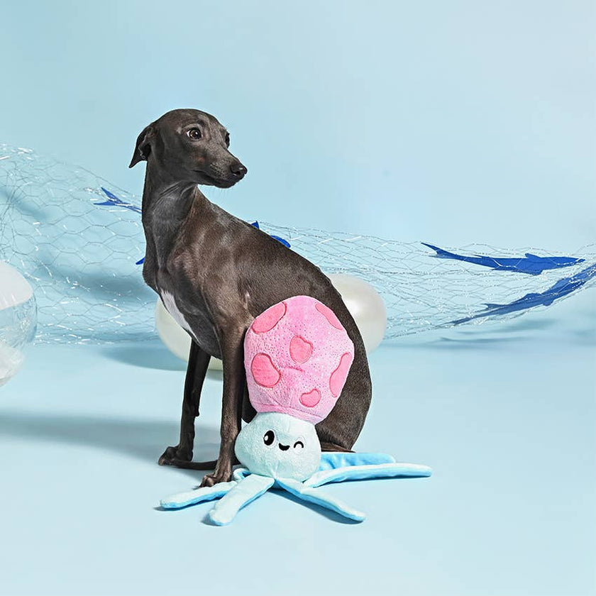 Dog Toy Squid Ocean Pals Plush  Toy