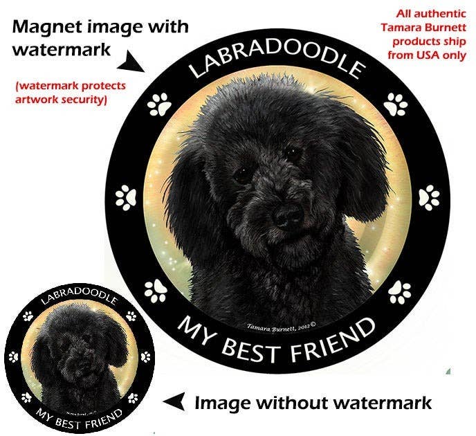 Labradoodle Black My Best Friend Circular Magnet