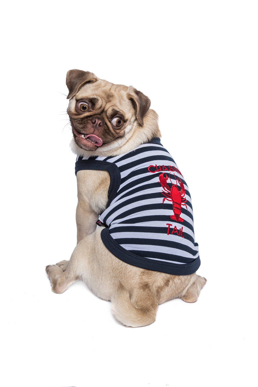 Chasing Tale Lobster Dog or Cat Pet Clothing