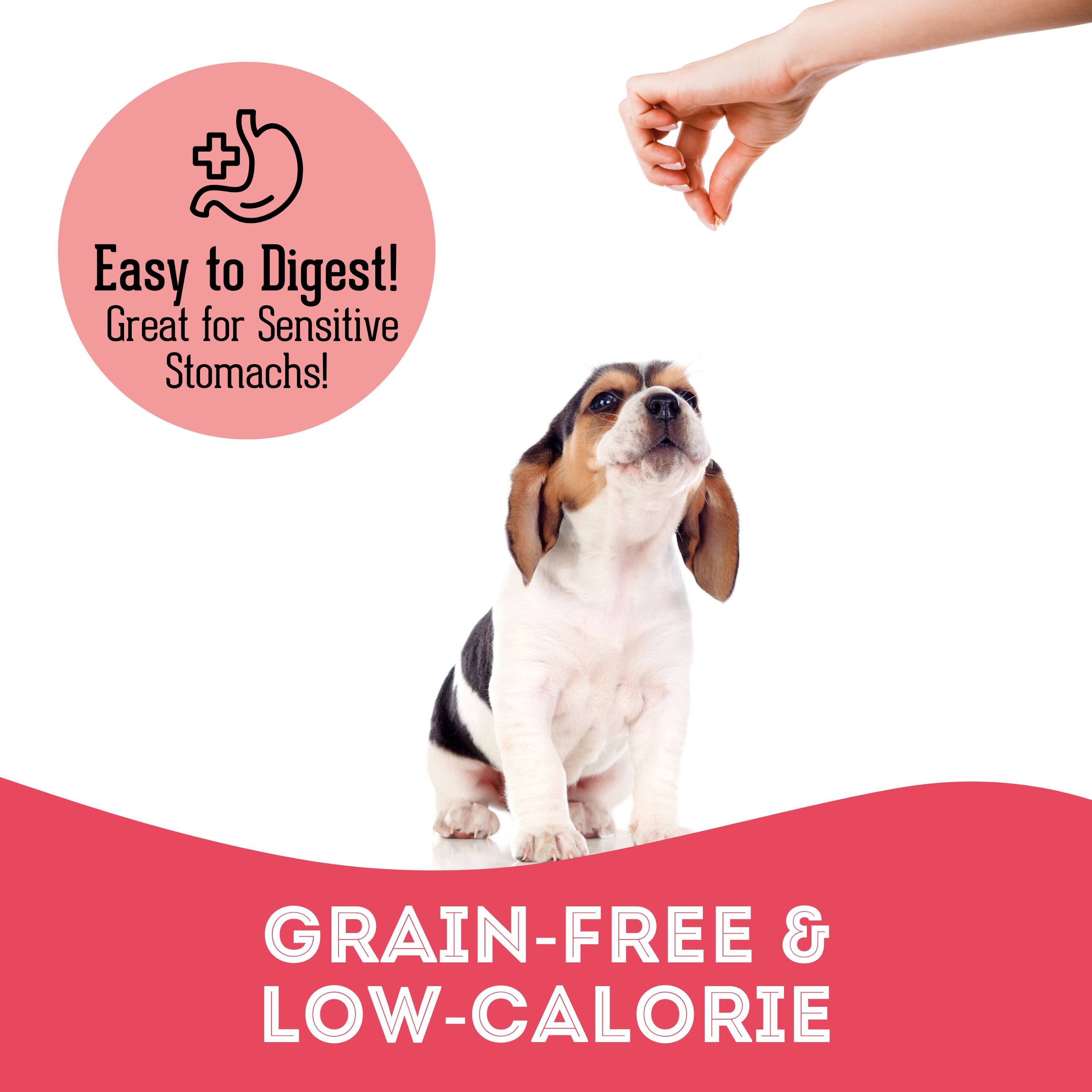 Duck & Cranberry Soft Dog Treats: Chewy & All-Natural