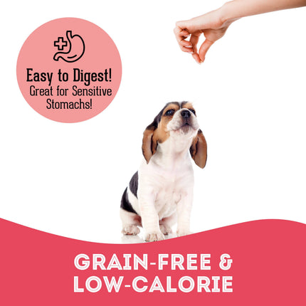 Duck & Cranberry Soft Dog Treats: Chewy & All-Natural