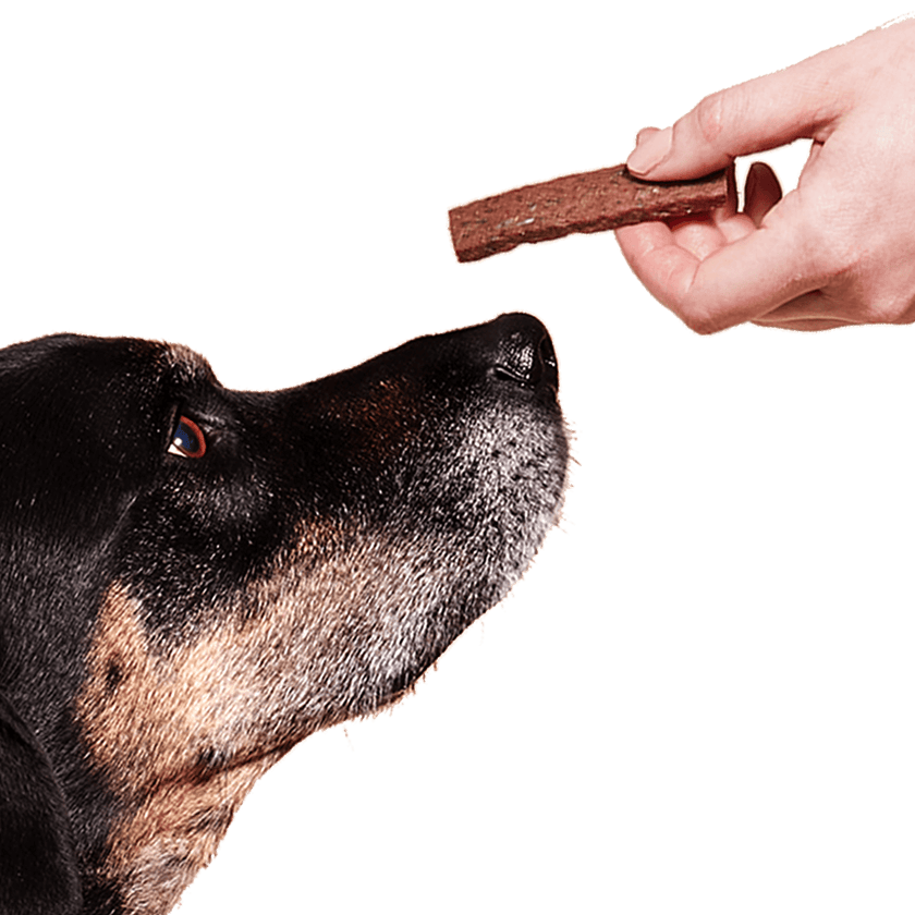 Dog Treat Super Strips-5oz