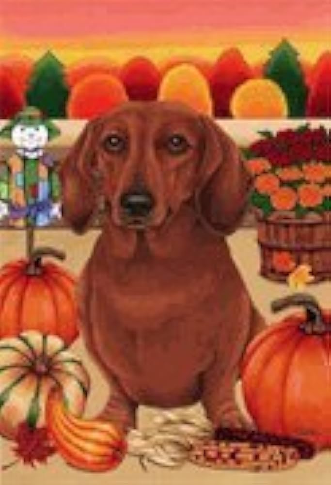 Dachshund Pumpkins Large House Flag