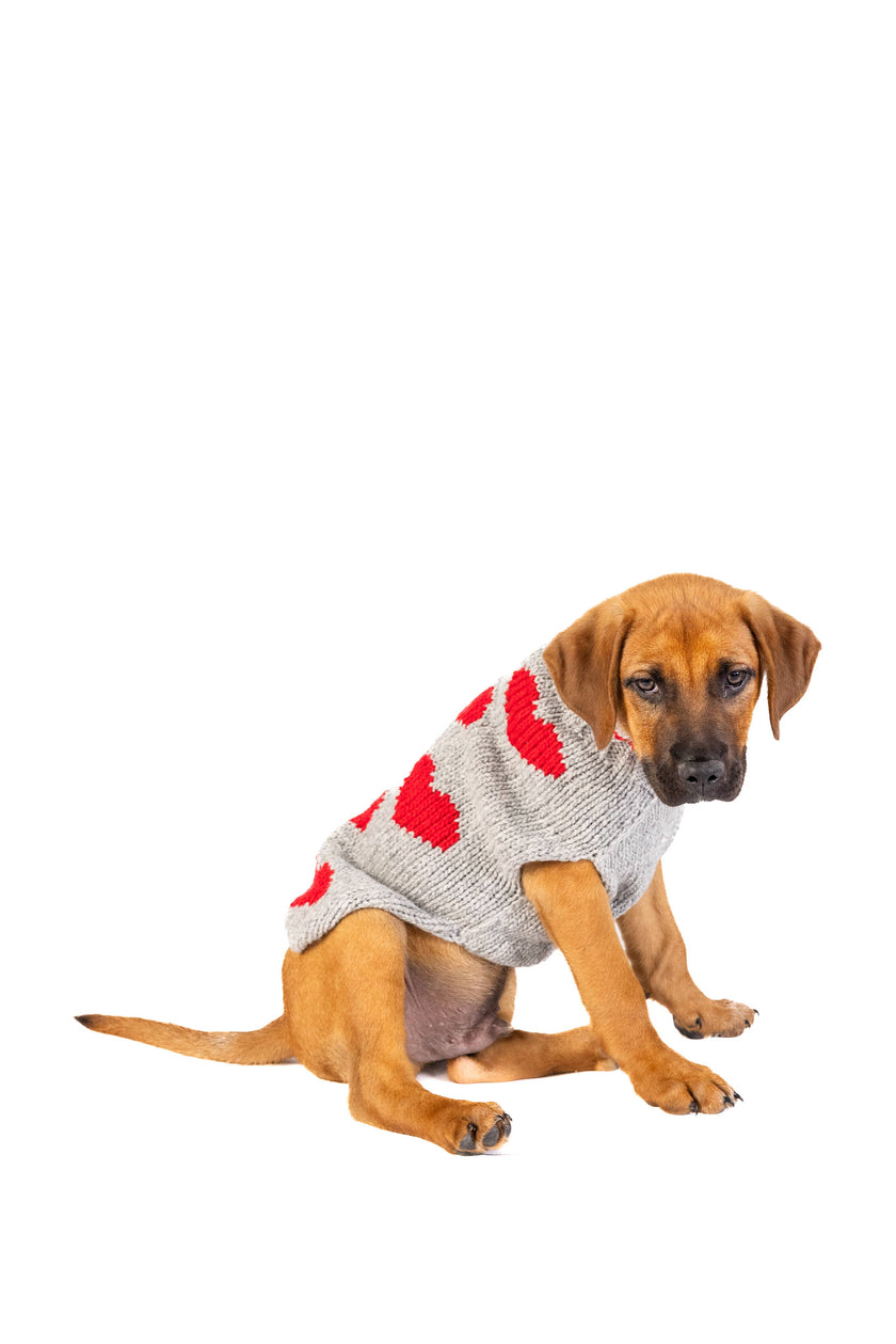 Red Hearts Dog Pet Sweater