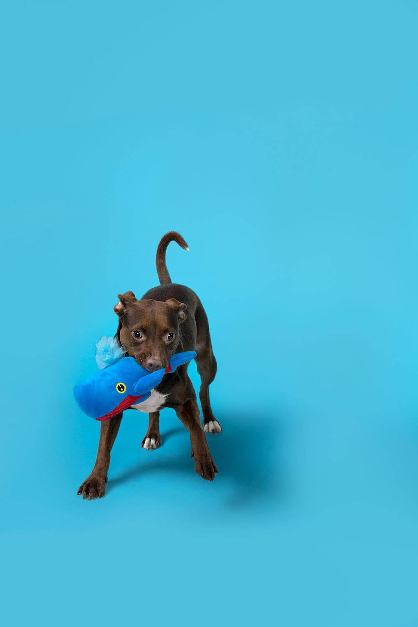 BARK Moby Lick Dog Toy