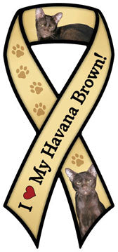 Havana Brown Ribbon Car Trunk Magnet