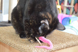 Cat Toy Wand Attachment Toy A-Lure-Ring Ring with tail