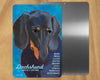 Dachshund (Black & Tan, Front Face) -UD Metal Sign